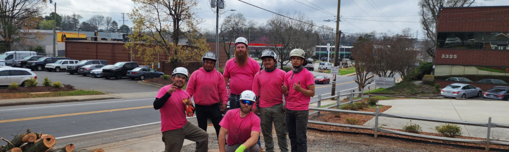 Mandi's Tree Care Team wearing pink shirts.